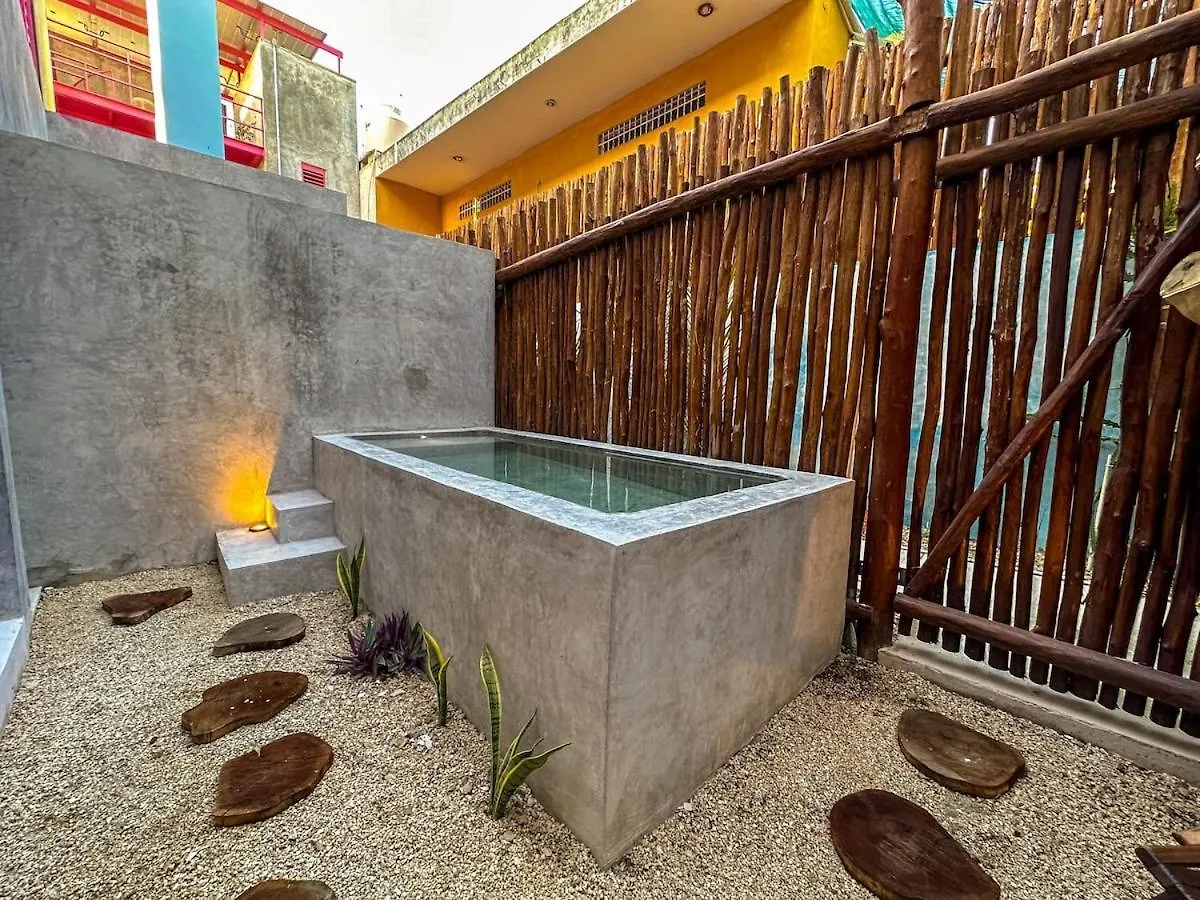 Room Bokoba Disfruta De Este Paraiso En El Centro Merida