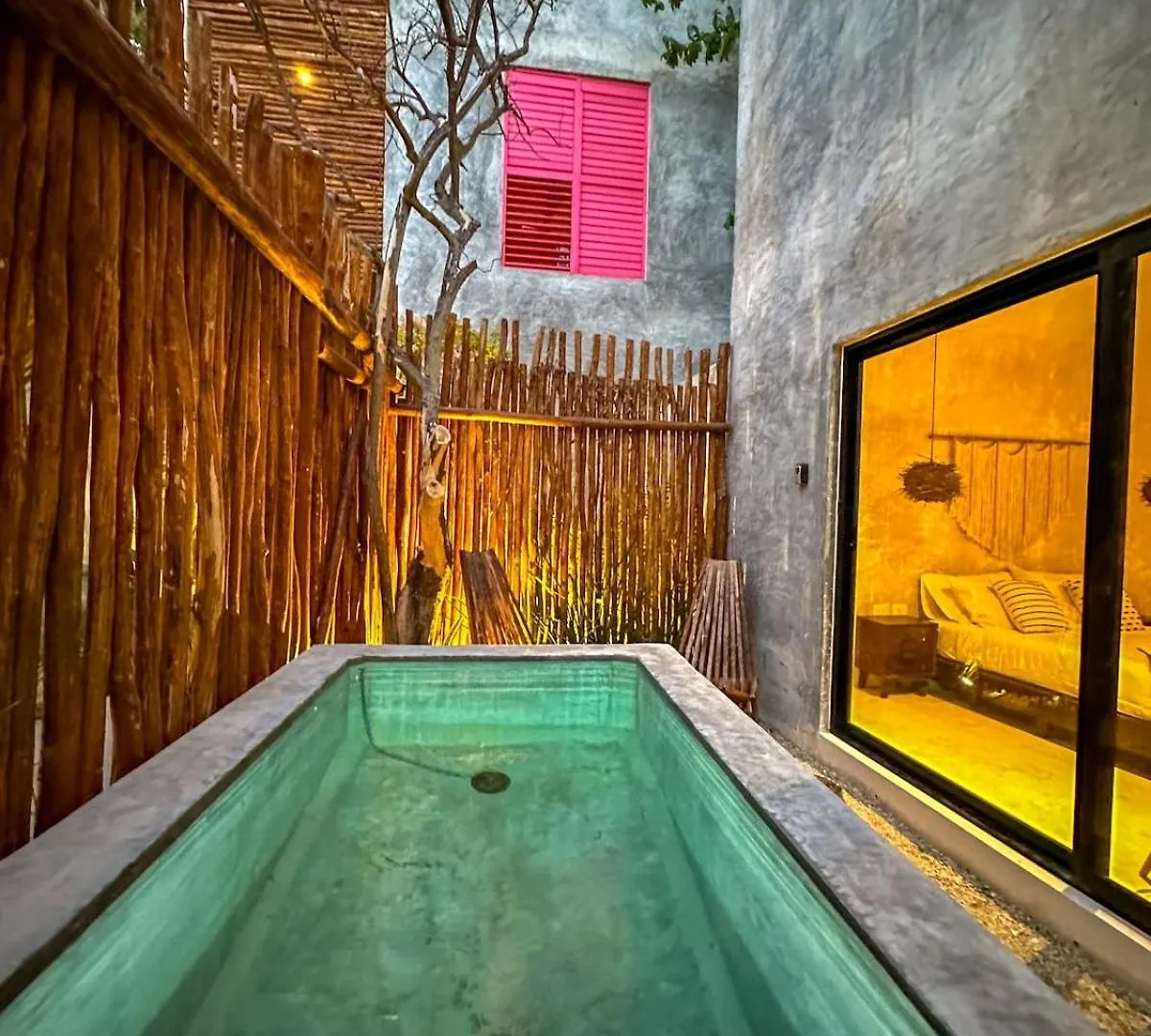 Inn Room Bokoba Disfruta De Este Paraiso En El Centro Merida