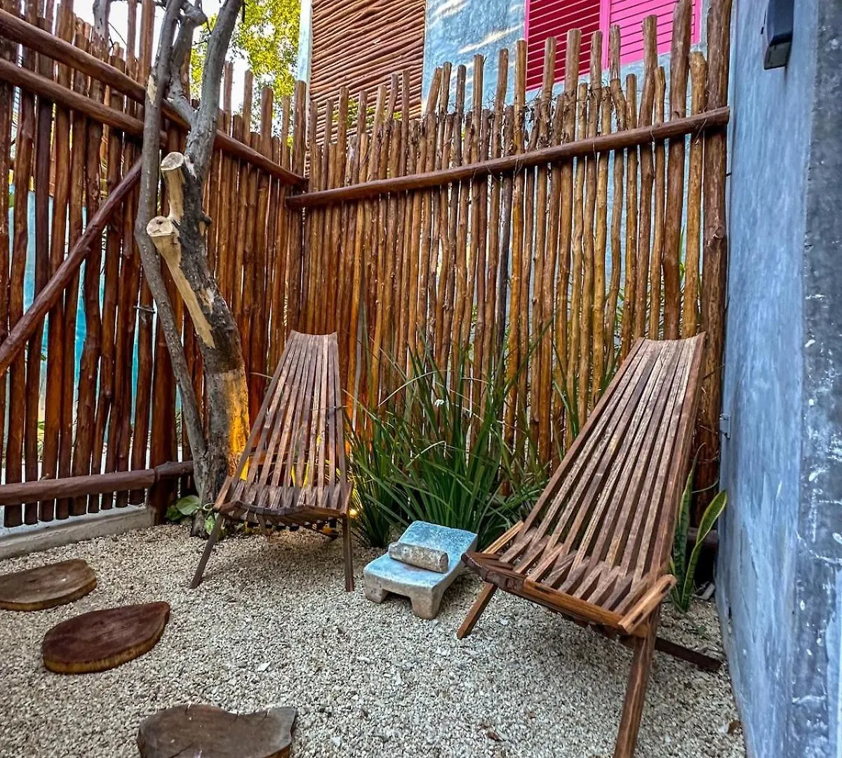 Room Bokoba Disfruta De Este Paraiso En El Centro Merida