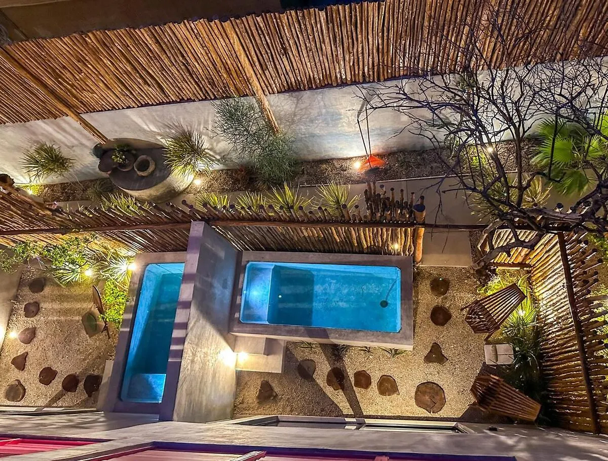 Room Bokoba Disfruta De Este Paraiso En El Centro Mérida Penzion